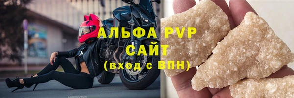 прущие грибы Россошь