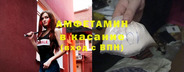 гидра Рославль