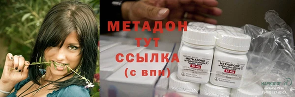 прущие грибы Россошь