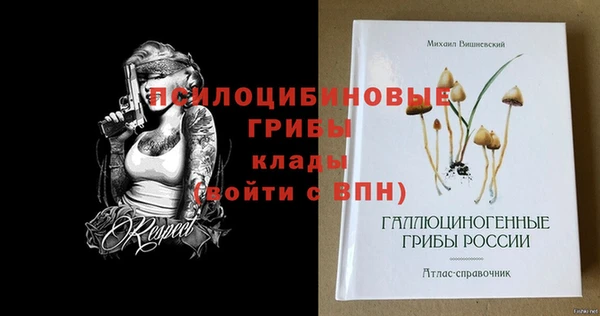 прущие грибы Россошь