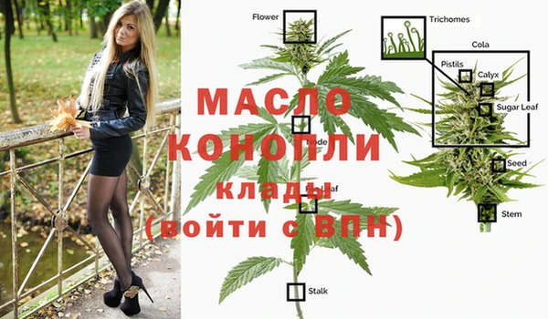 гидра Рославль