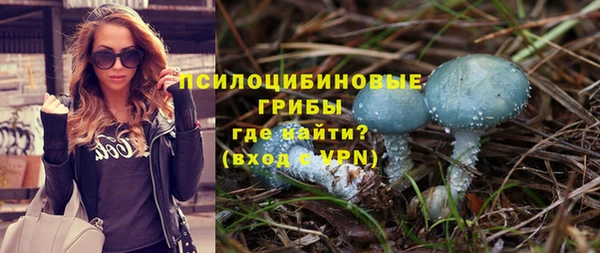 прущие грибы Россошь
