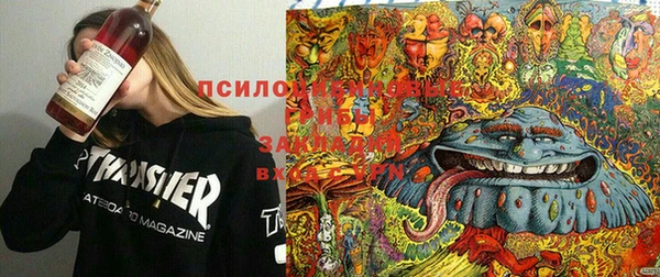стафф Ростов