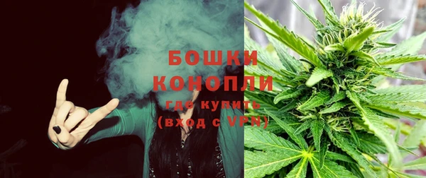 гидра Рославль