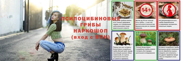 стафф Ростов