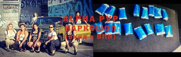 стафф Ростов