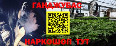 СК Гагарин