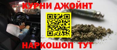 трава Гатчина