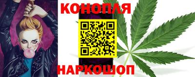 трава Гатчина