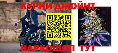 трава Гатчина