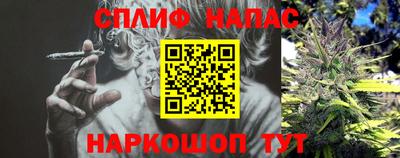 СК Гагарин