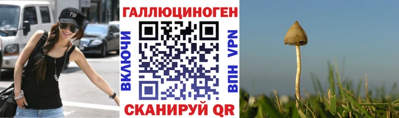 Псилоцибиновые грибы мицелий  Ступино 