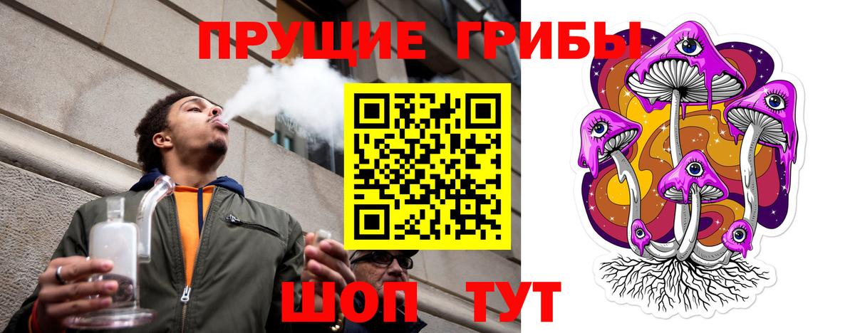 Псилоцибиновые грибы GOLDEN TEACHER Ступино