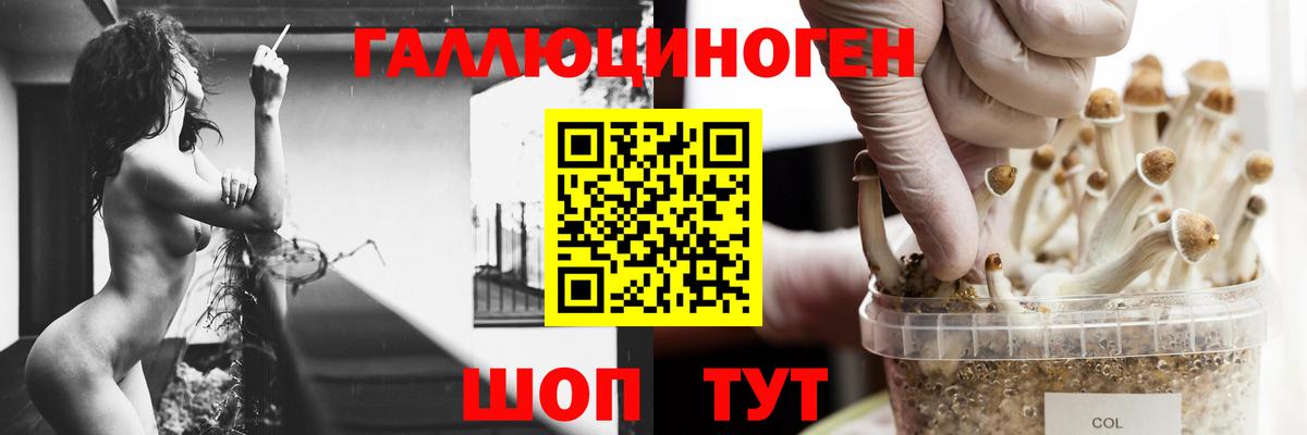 Галлюциногенные грибы мухоморы  Псилоцибиновые грибы Magic Shrooms  Вход с VPN  наркота  Ступино 